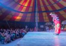 Mais de 6 mil pessoas já assistiram o Di Cherry Circus em Taboão da Serra